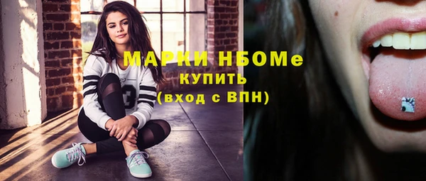 хмурый Кулебаки