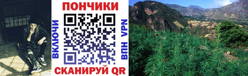 Канабис LSD WEED  кракен ONION  Медвежьегорск 